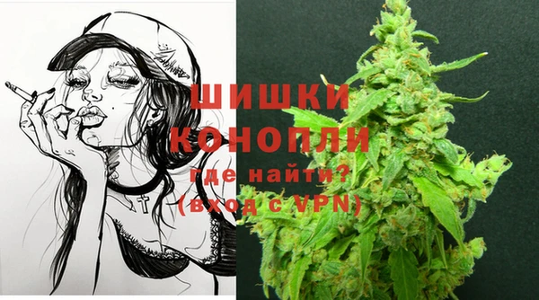 прущий лед Горняк