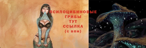 СК Горнозаводск