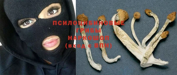 jwh Горно-Алтайск