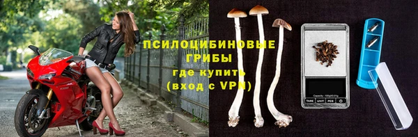 СК Горнозаводск