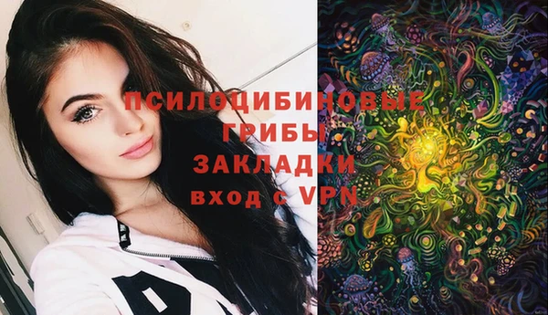 СК Горнозаводск