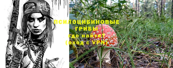 СК Горнозаводск