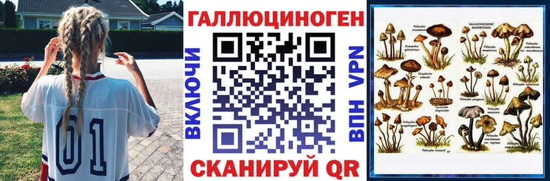Купить где  Кушва  Псилоцибиновые грибы Psilocybe 